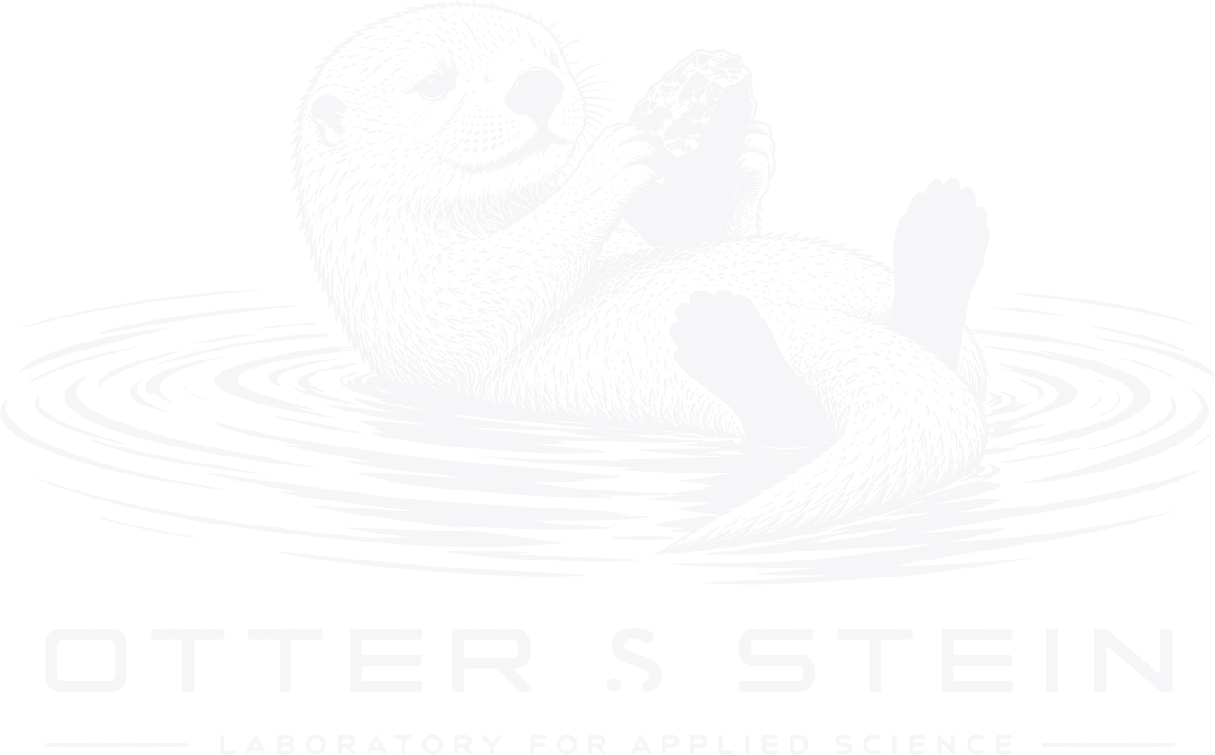 Otter & Stein — Otter mit Stein auf dem Wasser